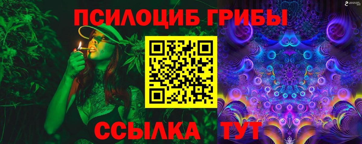 Южноуральск  Псилоцибиновые грибы MAGIC MUSHROOMS  Вход с VPN  Псилоцибиновые грибы прущие грибы 